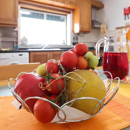 Casas Com Amoras In Serra Da Pescaria Famalicão