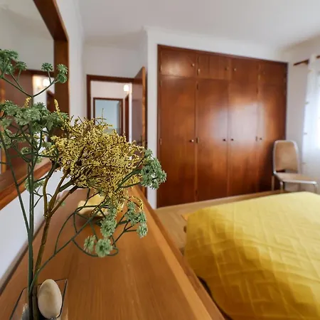 Casas Com Amoras In Serra Da Pescaria *