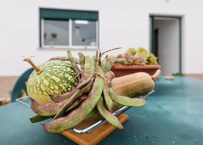 Casas Com Amoras In Serra Da Pescaria *